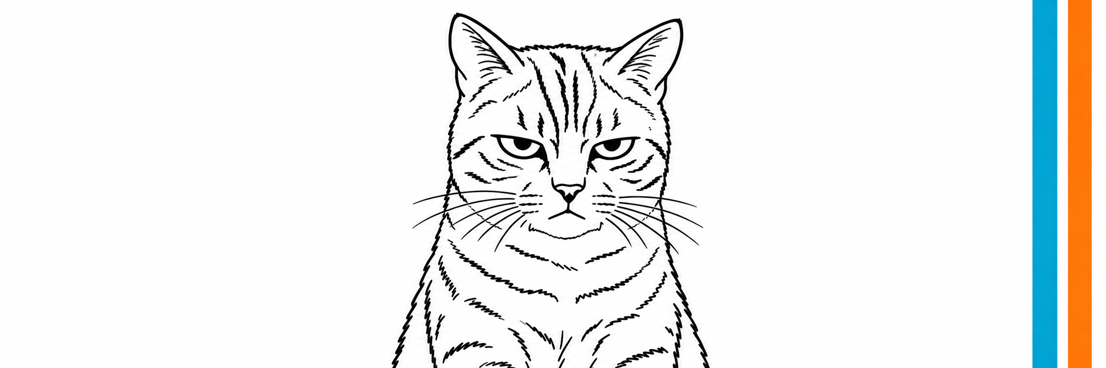 WOJAKBCAT wide banner